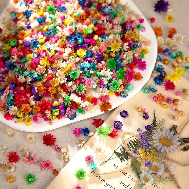 Fiori colorati misti per stamp - Candle Supplies Bulk recensione e prezzo